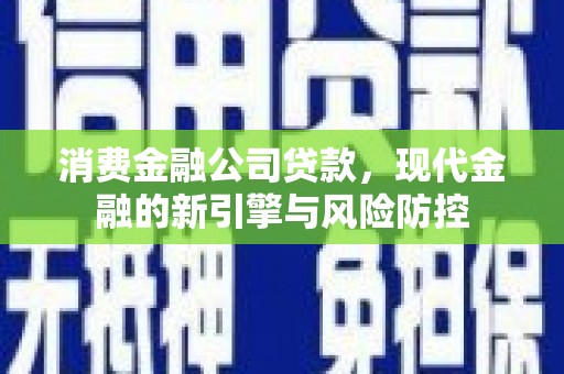 拉萨消费金融公司贷款，现代金融的新引擎与风险防控