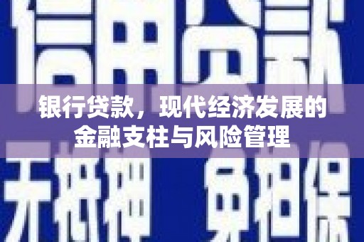 拉萨银行贷款，现代经济发展的金融支柱与风险管理