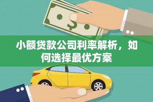 拉萨小额贷款公司利率解析，如何选择最优方案