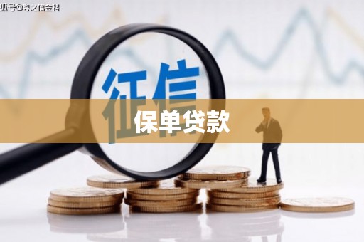 拉萨保单贷款