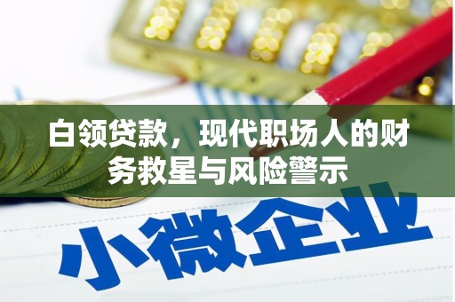 拉萨白领贷款，现代职场人的财务救星与风险警示