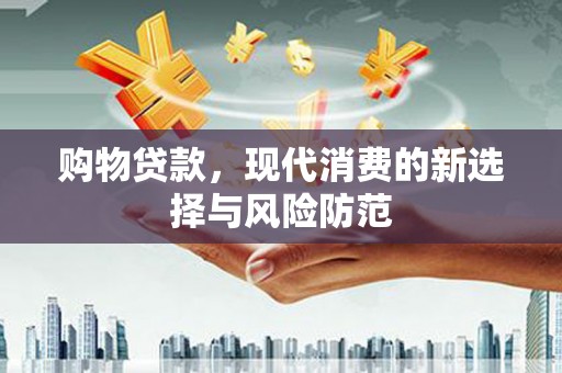 拉萨购物贷款，现代消费的新选择与风险防范