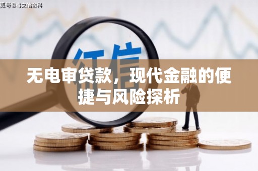 拉萨无电审贷款，现代金融的便捷与风险探析
