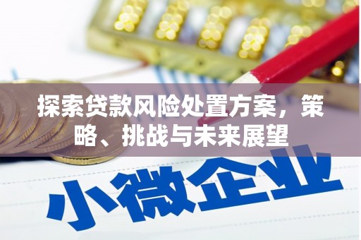拉萨探索贷款风险处置方案，策略、挑战与未来展望