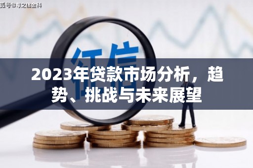 拉萨2023年贷款市场分析，趋势、挑战与未来展望