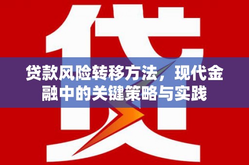拉萨贷款风险转移方法，现代金融中的关键策略与实践