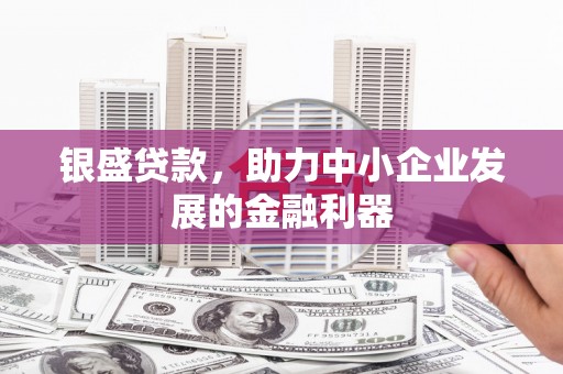 拉萨银盛贷款，助力中小企业发展的金融利器
