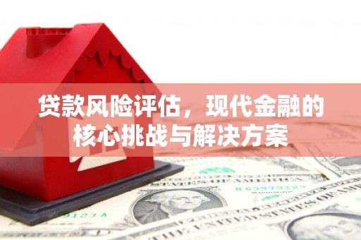 拉萨贷款风险评估，现代金融的核心挑战与解决方案