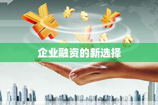 拉萨企业融资的新选择