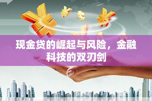 拉萨现金贷的崛起与风险，金融科技的双刃剑