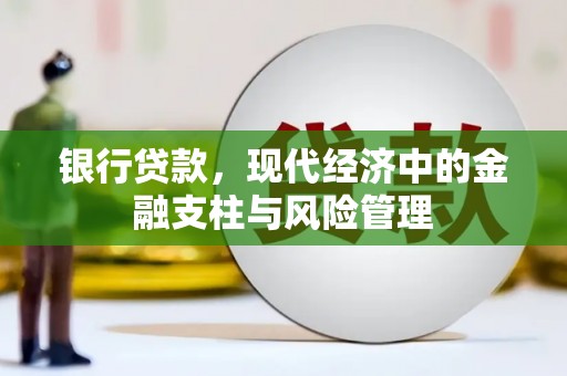拉萨银行贷款，现代经济中的金融支柱与风险管理