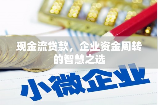 拉萨现金流贷款，企业资金周转的智慧之选