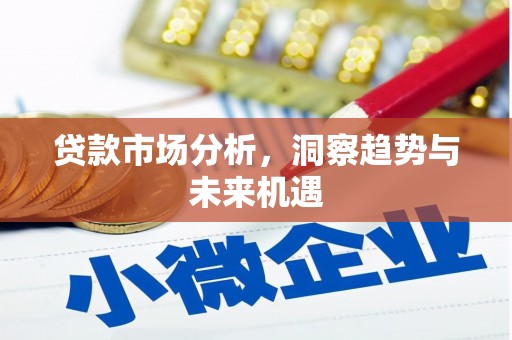 拉萨贷款市场分析，洞察趋势与未来机遇