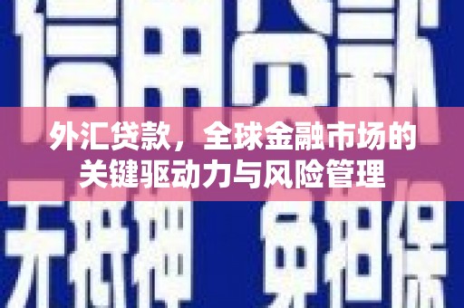 拉萨外汇贷款，全球金融市场的关键驱动力与风险管理