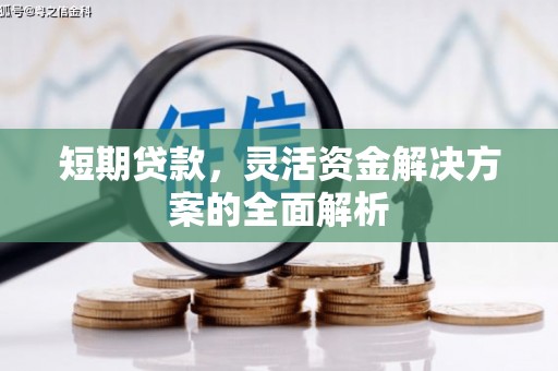 拉萨短期贷款，灵活资金解决方案的全面解析