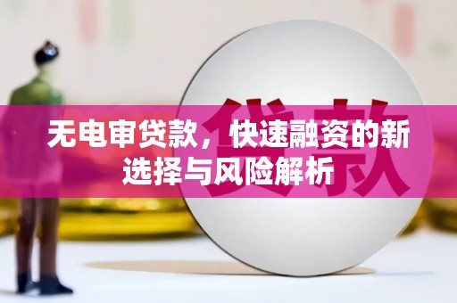 拉萨无电审贷款，快速融资的新选择与风险解析