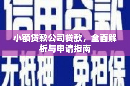 拉萨小额贷款公司贷款，全面解析与申请指南