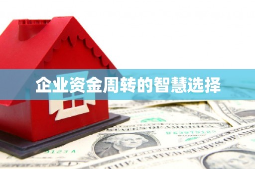 拉萨企业资金周转的智慧选择