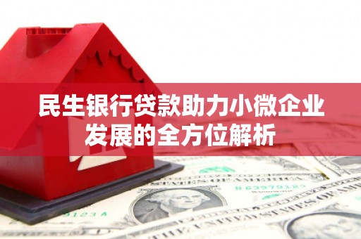 拉萨民生银行贷款助力小微企业发展的全方位解析