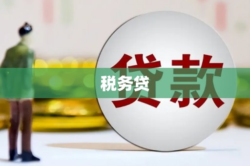 拉萨税务贷