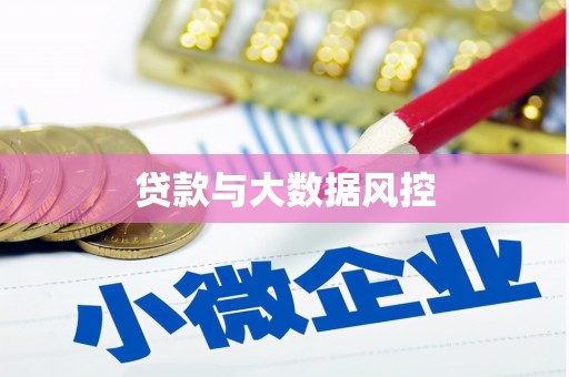 拉萨贷款与大数据风控