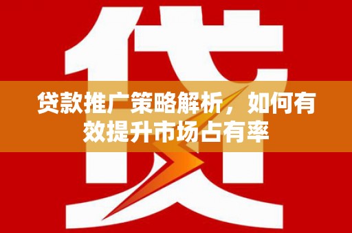 拉萨贷款推广策略解析，如何有效提升市场占有率