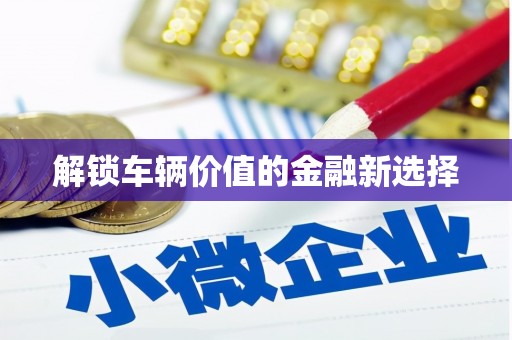 拉萨解锁车辆价值的金融新选择