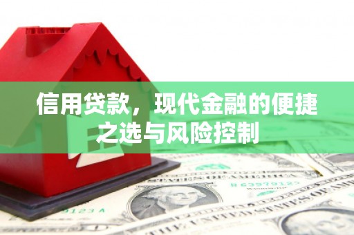 拉萨信用贷款，现代金融的便捷之选与风险控制