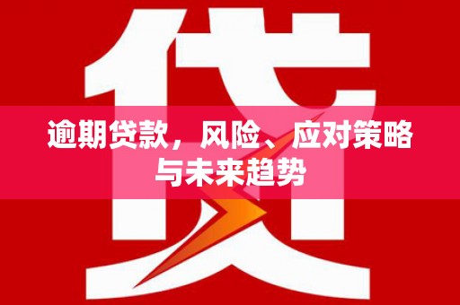 拉萨逾期贷款，风险、应对策略与未来趋势