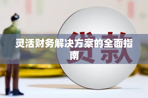 拉萨灵活财务解决方案的全面指南