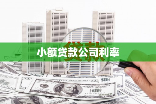拉萨小额贷款公司利率