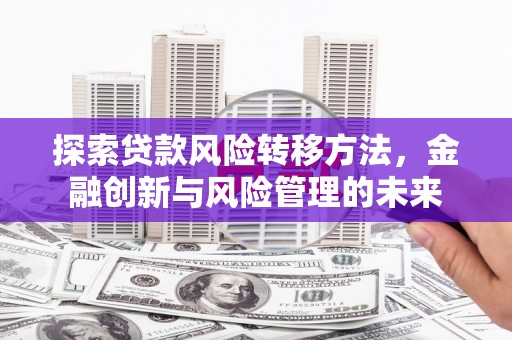 拉萨探索贷款风险转移方法，金融创新与风险管理的未来