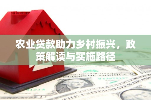 拉萨农业贷款助力乡村振兴，政策解读与实施路径