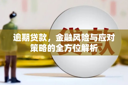 拉萨逾期贷款，金融风险与应对策略的全方位解析