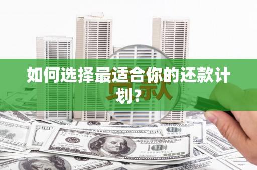拉萨如何选择最适合你的还款计划？