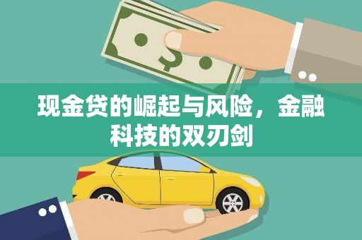拉萨现金贷的崛起与风险，金融科技的双刃剑