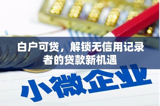拉萨白户可贷，解锁无信用记录者的贷款新机遇