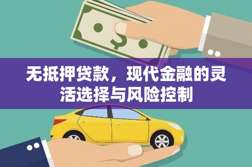 拉萨无抵押贷款，现代金融的灵活选择与风险控制