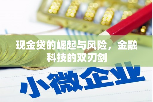 拉萨现金贷的崛起与风险，金融科技的双刃剑