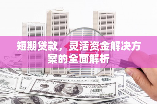 拉萨短期贷款，灵活资金解决方案的全面解析