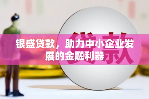 拉萨银盛贷款，助力中小企业发展的金融利器