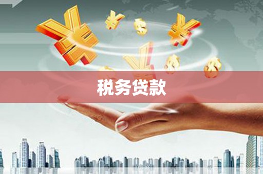 拉萨税务贷款