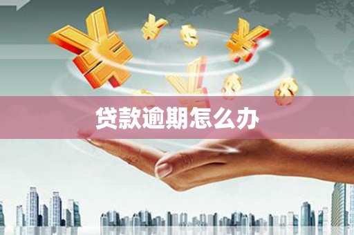拉萨贷款逾期怎么办