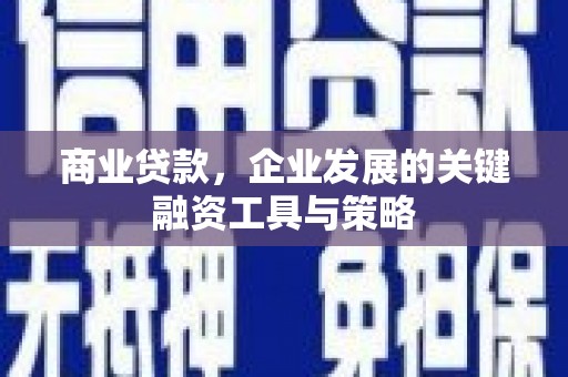 拉萨商业贷款，企业发展的关键融资工具与策略