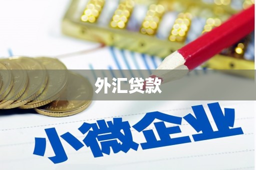 拉萨外汇贷款