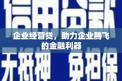 拉萨企业经营贷，助力企业腾飞的金融利器