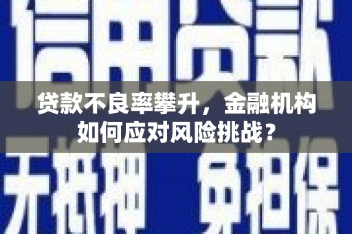 拉萨贷款不良率攀升，金融机构如何应对风险挑战？