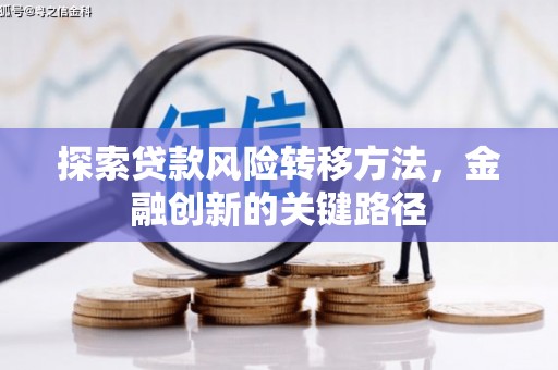 拉萨探索贷款风险转移方法，金融创新的关键路径