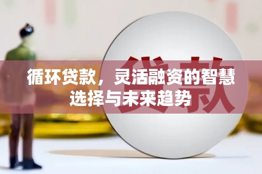 拉萨循环贷款，灵活融资的智慧选择与未来趋势