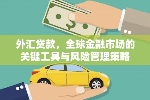 拉萨外汇贷款，全球金融市场的关键工具与风险管理策略